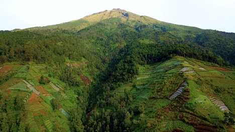 Drone-shot-of-slope-of-mountain-that-have-been-deforested-for-use-as-agricultural-land,-The-forest-that-keeps-on-decreasing---Slope-of-Sumbing-Mountain,-Indonesia