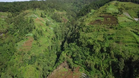 Aerial-view-of-lush-terraced-vegetable-plantation-on-the-slope-of-Mountain