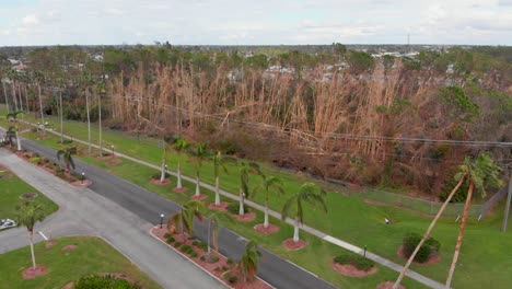 4K-Drohnenvideo-Von-Bäumen,-Die-Durch-Hurrikan-In-Florida-Beschädigt-Wurden---33