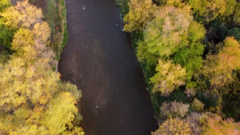 Top-down-aerial-view-at-a-river-in-a-park
