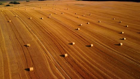 Aerial-view-of-a-large-industrial-brown-field-with-many-hay-bales-in-field-4K