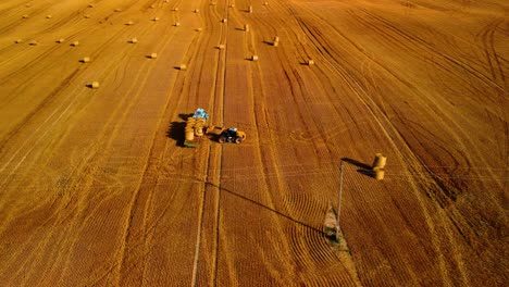 An-aerial-view-of-a-large-industrial-golden-field-with-a-tractor-collecting-hay-bales-in-4k