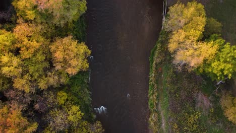 Top-down-aerial-view-at-a-river-in-a-park