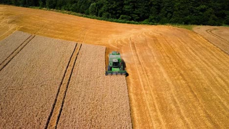 Aerial-view-of-a-combine-cutting-the-grain-in-a-farmland