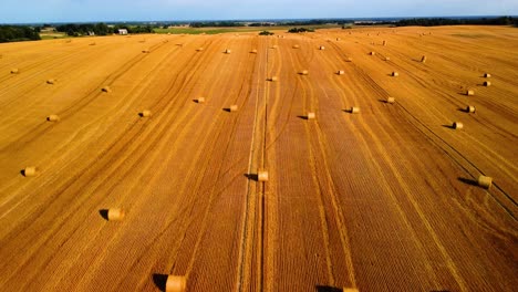 Aerial-view-of-a-large-industrial-brown-field-with-many-hay-bales-in-4K
