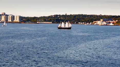3-mast-Barque-sailing-vessel-crusing-on-bay-in-Halifax-with-buildings-and-trees-in-background