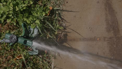 Top-down-close-slow-motion-footage-of-a-sprinkler-watering-a-yard-next-to-the-sidewalk