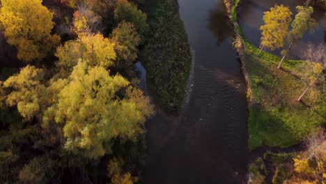 Top-down-drone-fall-view-at-a-park-with-a-river-in-the-middle
