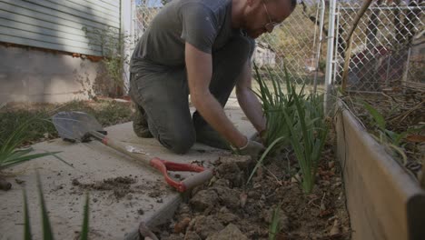 Low-to-the-ground-footage-of-a-man-digging-up-irises-next-to-a-sidewalk