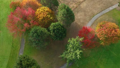 Aerial-overhead-view-rising-above-paved-walking-paths-in-a-well-landscaped-public-park-with-tree-leaves-changing-color-with-the-seasons