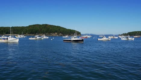 Fishing-Boats-moored-in-sunny,-blue-waters-of-Bar-Harbor-with-lush-green-hills-in-background
