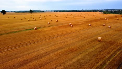 Aerial-view-of-a-large-industrial-brown-field-with-many-hay-bales-in-field