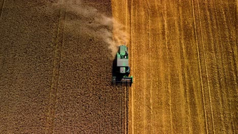 Aerial-view-of-agricultural-machine-cutting-the-grain-in-a-farmland,-top-down-shot