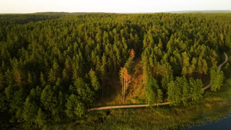 An-aerial-view-of-green-forests-near-a-large-blue-lake-in-the-countryside-of-Lithuania