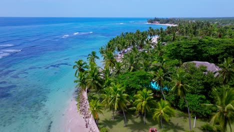 Aerial-flyover-tropical-palm-trees,-sandy-beach-and-crystal-clear-Caribbean-Sea-Water-during-sunlight---PLAYA-GUAYACANES,-Dominican-Republic
