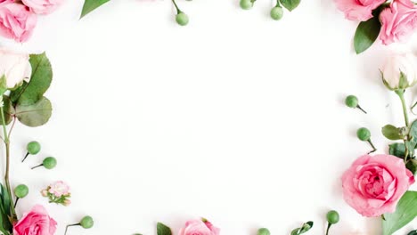 Rose-flower-background-arranged-on-white-background,-animation
