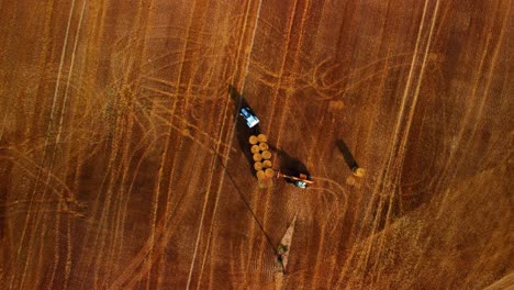 An-aerial-view-of-a-large-industrial-golden-field-with-a-tractor-collecting-hay-bales,-top-down
