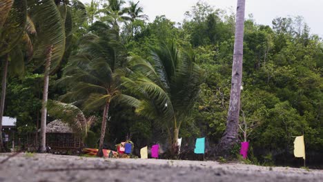 Cool-Wind-Blowing-At-The-Beach-With-Coconut-Palm-Trees-And-Multicolored-Buntings-In-The-Philippines