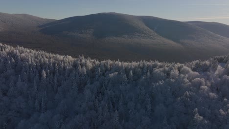 Schneewaldbäume-Zeigten-Im-Winter-Im-Süden-Von-Quebec,-Kanada,-Eine-Hügelige-Landschaft