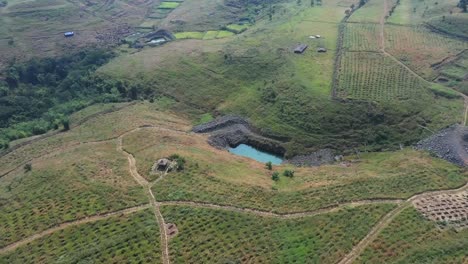 Luftaufnahme:-Nachhaltige-Waldplantage-In-Einem-Tal-Mit-Künstlichen-Seen-Zur-Bewässerung-Der-Pflanzen-In-Indien