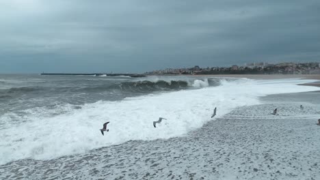 Ocean-waves-breaking-on-coast,-birds-flying-over-open-sea-porto-portugal-city