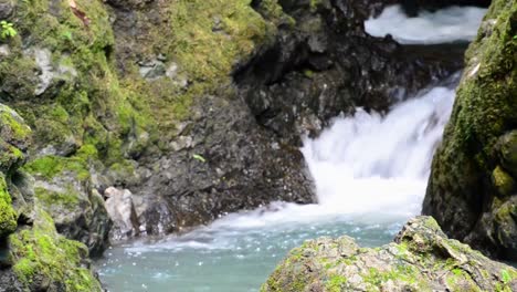 Kleiner-Wasserfall-Eines-Baches-Im-Regenwald-Von-Costa-Rica