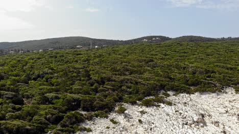 Üppige-Vegetation-Und-Weißes-Steiniges-Ufer-Am-Strand-Von-Emplisi-In-Erisos,-Griechenland