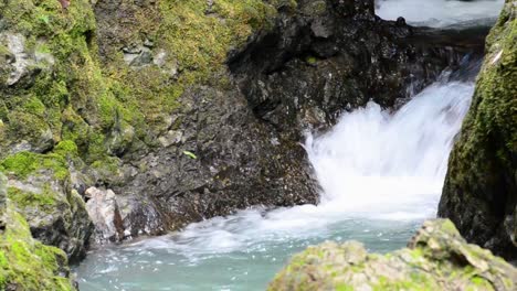 Kleiner-Wasserfall-Eines-Türkisfarbenen-Baches-Im-Dschungel-Von-Costa-Rica