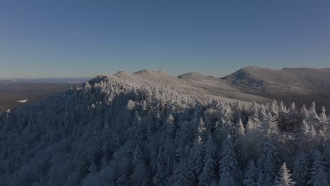 Winter-In-Spruce-Forest---Spruces-Covered-With-White-Fluffy-Snow-In-Southern-Quebec-Mountain---aerial-drone-shot
