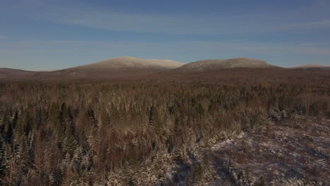 Dichte-Immergrüne-Fichte-Mit-Hügeln-Im-Hintergrund-Im-Winter-Im-Südlichen-Quebec,-Kanada