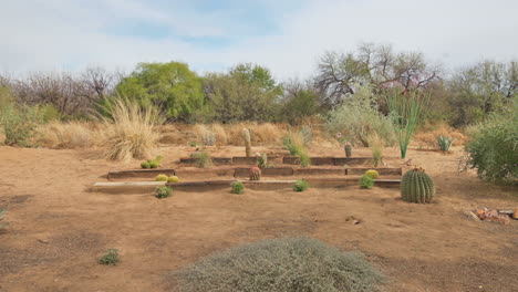 Arizona-Sonoran-desert-cactus-garden,-panning-shot