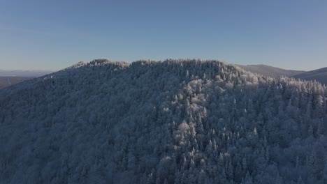 Dramatischer-Blick-Auf-Dichte-Fichten,-Die-Im-Winter-Im-Süden-Von-Quebec,-Kanada,-Mit-Schnee-Bedeckt-Sind
