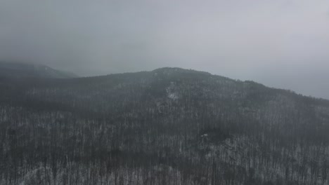 Forest-Trees-In-Fog-On-Majestic-Mountain-In-Quebec,-Canada-During-Winter-Season