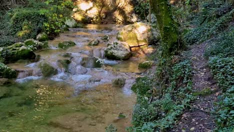 walk-in-fores-with-river-in-corfu-greece
