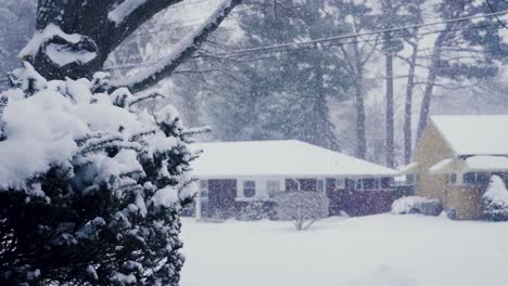 Caída-De-Nieve-En-Cámara-Lenta-En-Michigan
