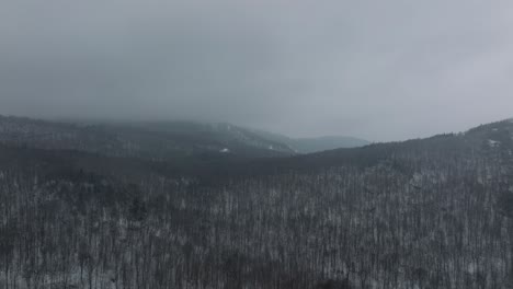 Winter-Forest-Mountains-Against-Overcast-Sky-In-Quebec,-Canada
