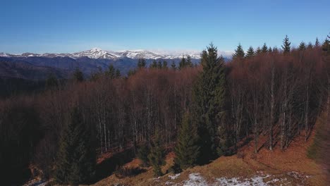 Berggipfel,-Die-Hinter-Einem-Laubwald-Hervortreten