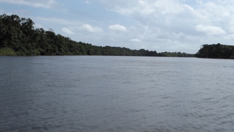 POV-sailing-on-tropical-river-in-brazilian-nature,-mangrove-ecosystem,-amazon-forest