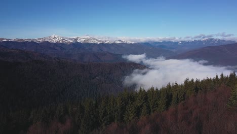 Wilderness-landscape-with-hills-covered-with-forests-and-a-snow-covered-mountain-ridge-in-the-background