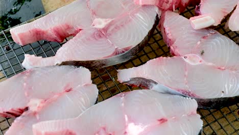Fresh-line-caught-Spanish-Mackerel-filleted,-cleaned-and-cut-healthy-fish-steaks-ready-to-cook-for-a-delicious-seafood-dinner-packed-with-healthy-omega-3-fatty-acids
