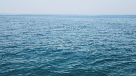 Navegando-Por-El-Océano-Con-Una-Manada-De-Delfines-Atlánticos-De-Flancos-Blancos-Arqueándose
