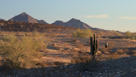 Un-Excursionista-Masculino-Con-Bastones-De-Trekking-En-El-Desierto-De-Sonora-Al-Atardecer-Camina-De-Derecha-A-Izquierda-A-Través-De-La-Pantalla