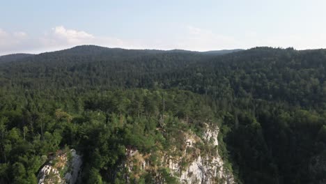 Tara-Parque-Nacional-Serbia-Vacaciones-Montaña-Viajes-Destinos