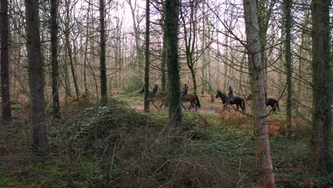 People-riding-horses-in-a-forest-in-normandy