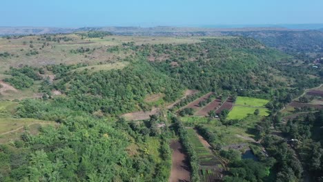 Aerial:-Sustainable-Forest-Plantation-in-a-valley-with-artificial-lakes-to-water-the-plants-in-India