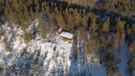 Aerial-View-Of-Typical-Cabin-With-Pine-Trees-During-Winter-In-Kragerø,-Telemark,-Norway