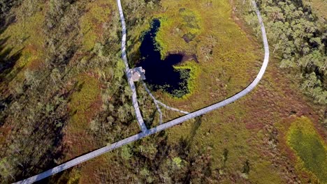 Aerial-from-Riisa-bog-hiking-trail-and-a-bog-lake-in-Estonia-during-summer