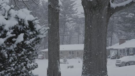 A-January-whiteout-storm-in-Michigan-neighborhood