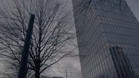 Ein-Wolkenkratzer-Hinter-Einem-Baum,-Der-Die-Buckhead-Bildet,-Atlanta-Skyline