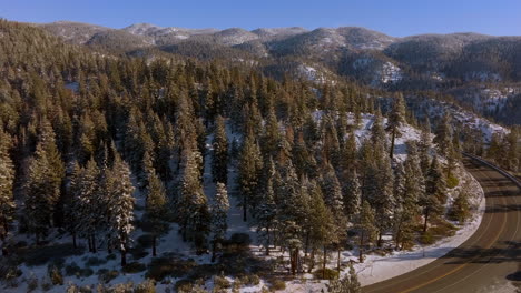 Push-past-road-through-Lake-Tahoe-mountains-and-over-Douglas-Fir-trees-on-a-beautiful-winter-day-in-Nevada
